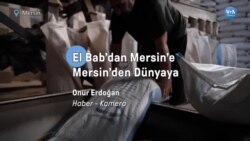 El Bab'dan Mersin’e Mersin'den dünyaya