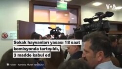 Sokak hayvanları yasası 18 saat komisyonda tartışıldı, 3 madde kabul edildi 