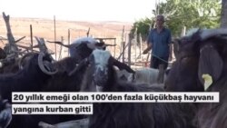 20 yılda yetiştirdiği sürüsünü yangında kaybetti: “Hayvanlar yoksa biz de yokuz”