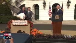 2 Gwo Bèl Kodenn Pap Ateri nan Asyèt pou Fèt Thanksgiving Gras ak Padon Biden 