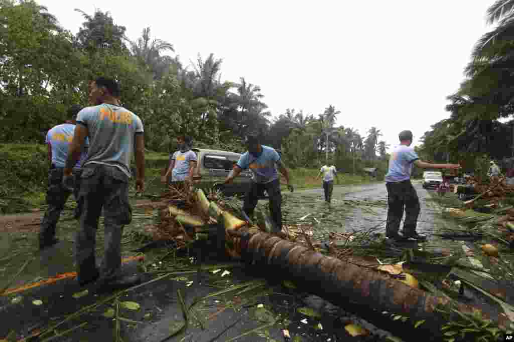 Cảnh sát Quốc gia Philippines dọn dẹp cây dừa ngả trên một xa lộ trong tỉnh Compostela Valley miền nam.