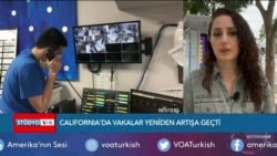 California'da Vakalar Yeniden Artışa Geçti