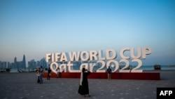 FBL-WC-2022-ILLUSTRATION