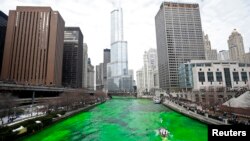 Chicago Nehri, Mart ayındaki Aziz Patrick Günü kutlamaları için yeşile boyanıyor.