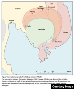 Sơ đồ đường lan truyền của ký sinh trùng kháng thuốc chống sốt rét từ Campuchia tới Việt Nam trong 8 năm qua.