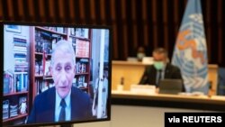 Anthony Fauci Dünya Sağlık Örgütü toplantısına video konferans yoluyla katıldı