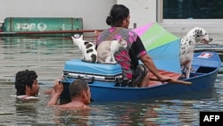 Một phụ nữ và chó mèo được được sơ tán ra khỏi căn nhà bị lụt trong tỉnh Ayutthaya, miền trung Thái Lan, ngày 9/10/2011