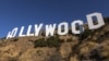 Nghệ sĩ Hollywood ủng hộ ứng cử viên tổng thống nào?