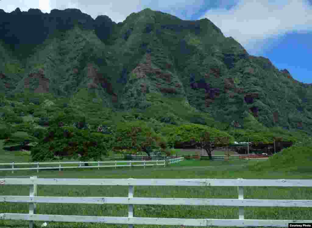 Núi cao và xanh ở phiá bắc đảo Oahu.