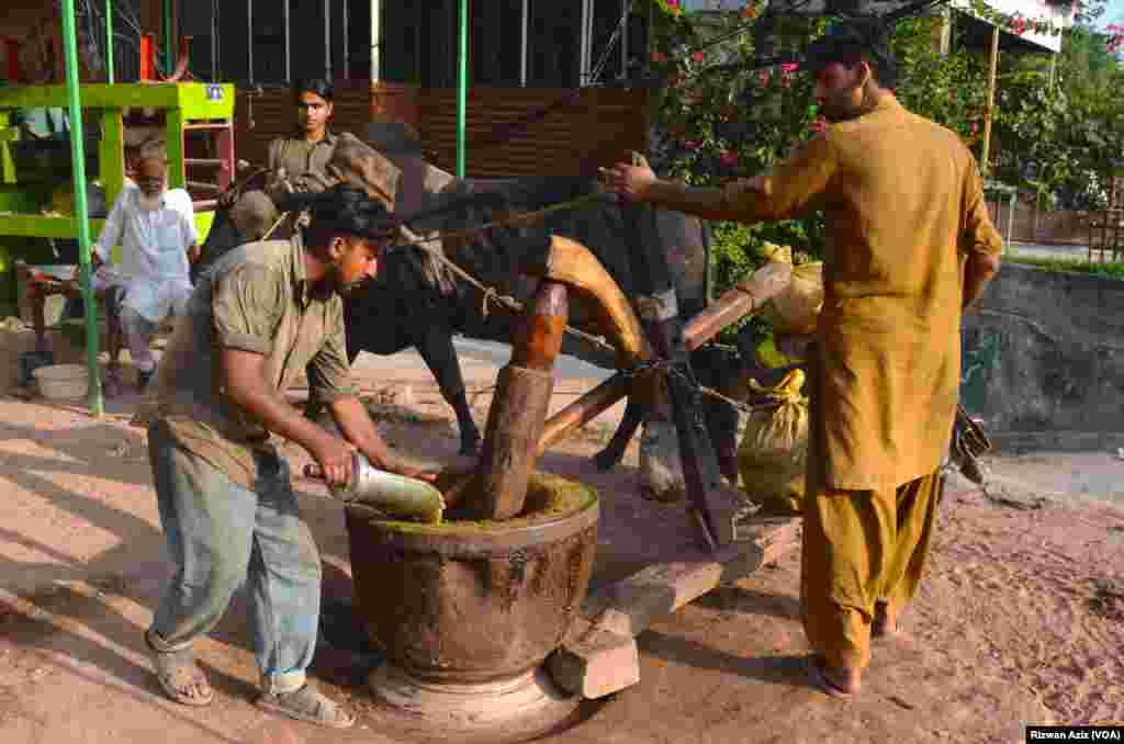 ان کا کہنا ہے کہ حکومت کو چاہیے کہ ہماری طرف توجہ دے اور ایسے اقدام کرے کہ یہ قدیم روایت جاری و ساری رہے۔