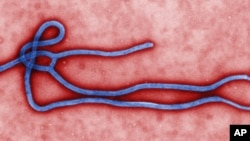 Virus Ebola