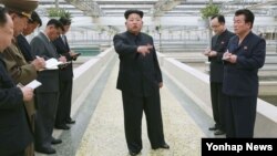 Lãnh tụ Bắc Triều Tiên Kim Jong Un (giữa) là cháu nội của lãnh tụ sáng lập Kim Il Sung.