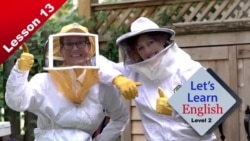 Let's Learn English Level 2 Lesson 13: Save the Bees!