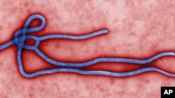 Hội Y Sĩ Không Biên Giới cho hay cuộc chiến chống Ebola đã gặp phải rất nhiều khó khăn vì sự lây lan nhanh chóng của loại vi rút chưa có thuốc chữa.