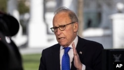 Cố vấn kinh tế Tòa Bạch Ốc Larry Kudlow.