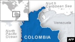 Liên Hiệp Quốc xóa tên Colombia khỏi danh sách buôn lậu ma túy