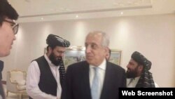 Đặc sứ Mỹ về Afghanistan, Zalmay Khalilzad 