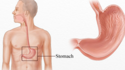 Hỏi đáp Y học: Nhiễm trùng đường tiểu