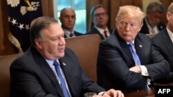 Ông Mike Pompeo tham gia vào cuộc họp nội các do Tổng thống Trump chủ trì