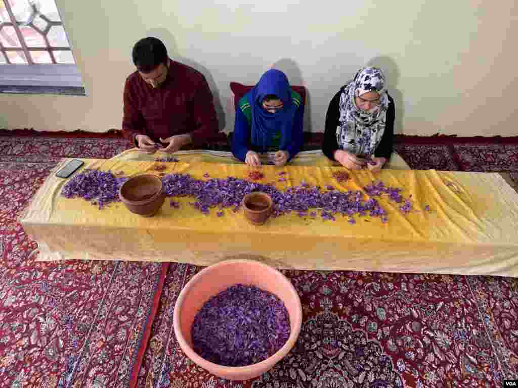 زعفران کا رنگ سرخی مائل زرد ہوتا ہے جب کہ اس کا ذائقہ قدرے تلخ مگر خوشبودار ہوتا ہے۔ 