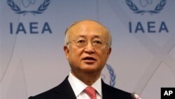 Tổng giám đốc IAEA.