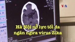 Hà Nội nỗ lực tối đa ngăn ngừa virus Zika