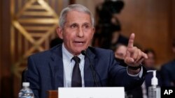 Bác sĩ Anthony Fauci phát biểu hôm 20/7/2021.