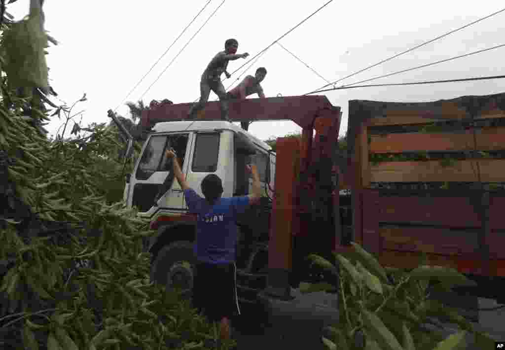 Công nhân dọn dẹp một xa lô trong tỉnh Compostela Valley miền nam có nhiều cây ngả.