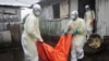 Số người chết vì Ebola vượt quá 4.000 người