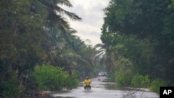 Tulum'da bir motosikletli, kasırga nedeniyle sularla kaplı bir yolda ilerliyor.