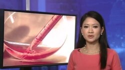 Truyền hình vệ tinh VOA Asia 8/8/2013