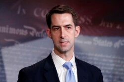 Cumhuriyetçi Partili Arkansas Senatörü Tom Cotton