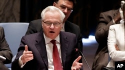 Ðại sứ Vitaly Churkin nói Nga sẵn sàng hành động một cách minh bạch và để cho cộng đồng quốc tế giám sát đoàn xe, các tuyến đường vận chuyển và việc phân phối hàng cứu trợ.