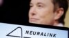 Elon Musk Prezante Piblik la Neuralink, Yon Envansyon Pou Fè Grèf nan Sèvo