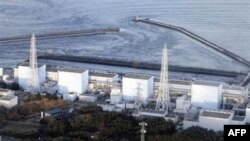 Đơn vị một Fukushima tại nhà máy điện hạt nhân Daiichi của Nhật