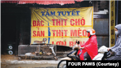 Một nơi bán thịt mèo ở Việt Nam. (Photo by FOUR PAWS)