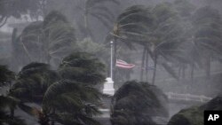 Bão Irma tràn qua Naples, Florida, hôm 10/9.