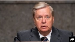 Senatör Lindsey Graham