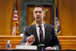 Cumhuriyetçi Partili Arkansas Senatörü Tom Cotton